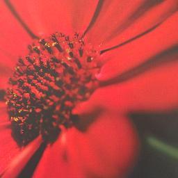 PrinRecruitment's profile picture. A Recruitment Agency that specialize in Public & Private Sector Recruitment. If you ate looking for work call us on 02085302288