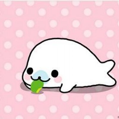 Bebe Phoque Petitbebephoque Twitter