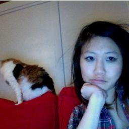 Pizza. Cats. Usually nonsensical.