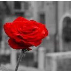 bonyboyz193's profile picture. bersatu kita teguh..
bercerai kita cari lagi...