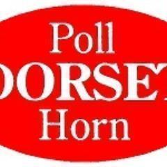 dorsetsheepsoc's profile picture. Dorset Horn & Poll Dorset Sheep Society.  One of the only sheep breeds to breed any time of year.