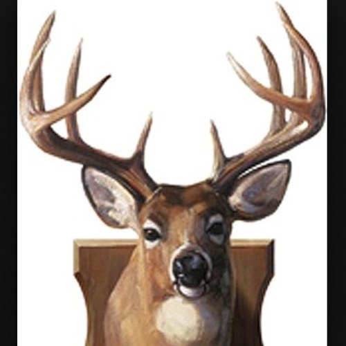 theplumberLarry's profile picture. 