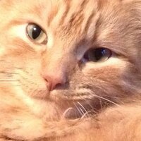 april sepich (@april1344) 's Twitter Profile