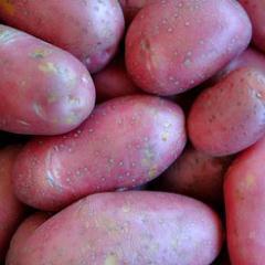 PinkPotatocouk's profile picture. MATT CASSADY Business operator of Fresh Fields Partners and http://t.co/ItqCS8zVvx Married to Pastry Chef Abby Cassady