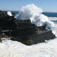 Mistaken Point (@wherelifegotbig) 's Twitter Profile