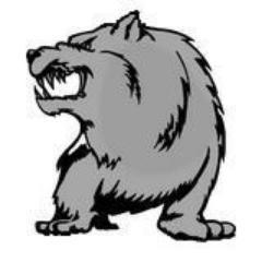 Silver_Bear's profile picture. I do stuff sometimes, I guess.