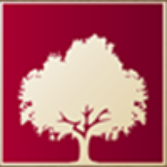 Cedar Finance is cementing their position as the world's most dynamically growing company for trading binary options. 
http://t.co/Qas8Dl7Ien