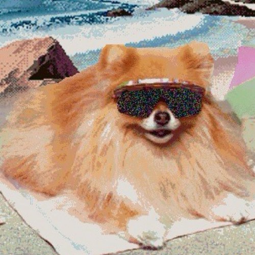 FraserElton's profile picture. 