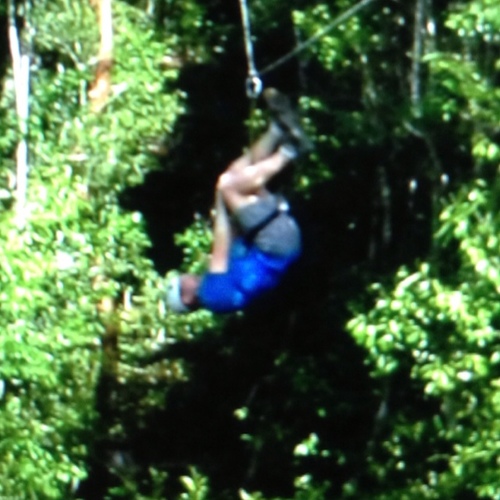 jimfitzwater's profile picture. Yeah, there were horses, and a man on fire, and I killed a guy with a trident.