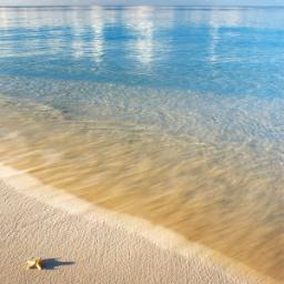 ShaynaSamosky's profile picture. Mom of 2 Fab Girls*Wife*Gifted Ed Coordinator & Fierce Advocate for Needs of Gifted Kids*Positive & Forward Thinker*Believer in Do Good Anyway