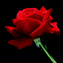 Lovely (@08036696970) Twitter
