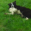 Josh Earnest - @joshiegolf54 - Twitter