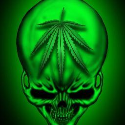 DamiiDeelBlock's profile picture. 