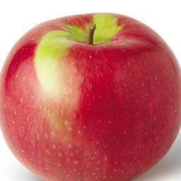 _SPFoundation_'s profile picture. SPF is a non-profit charitable organization that is partnering with local food banks to engage our country in the fight to end hunger.