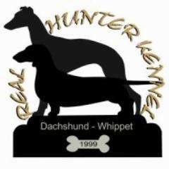 Canil especializado em Dachshund e Whippet.
Criação selecionada desde 1999.