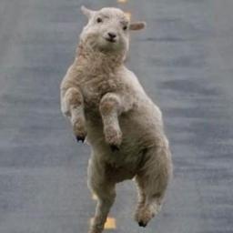 carlosgomez_one's profile picture. Remixer, Producer and Gamer. Me gustan algunas cosas y detesto otras cuantas.Krewella, Nicky Romero, David Guetta... Produciendo electrónica desde los 10 años