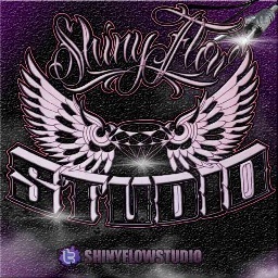Shinyflowstudio