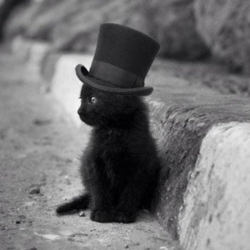 hamelinmm's profile picture. 