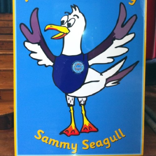 I'm Sammy Seagull, Grange Schools Rights Respecting School mascot. Grange advises you to only look at our Twitter account and avoid clicking on our followers.