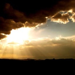 bvbbtl's profile picture. text to screen