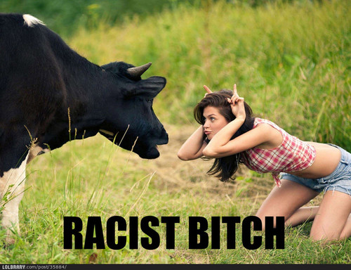 grofgebektexkoe's profile picture. hoi lelijke koeiekoppen. druk gewoon op dat lelijke kloteknopje hier vlak onder VOLG.
anders kom ik met mijn lijpe koeien roedel je halen.