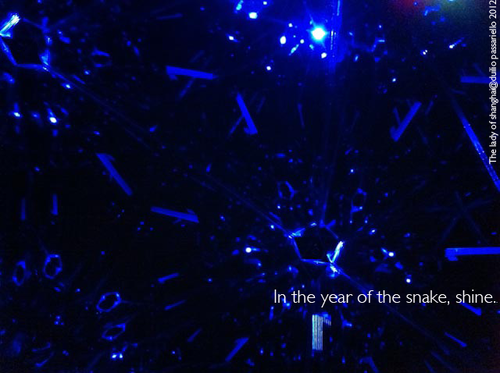 dgpassariello's profile picture. Lighting designer