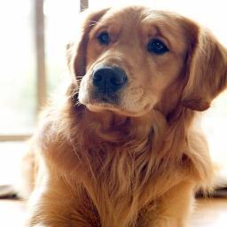 mygirlrangeley's profile picture. 