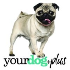 YourDogPlus is the ultimate destination for everything dog. YourDogPlus is about information, education, inspiration and entertainment.