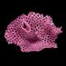 NHM_Bryozoa (@bryozoannhm) Twitter profile photo NHM_Bryozoa (@bryozoannhm) Twitter profile photo