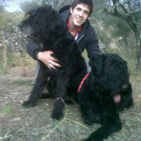 Pol Tibau (@poltibau) 's Twitter Profile