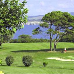 cantabria_golf's profile picture. 