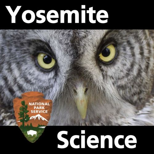 Yosemite Division of Resources Management and Science shares news and information about the park's natural and cultural resources.