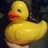 rachel_bruneau's profile image