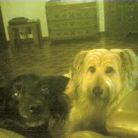 marinella meroni (@peruginoean) 's Twitter Profile Photo marinella meroni (@peruginoean) 's Twitter Profile Photo