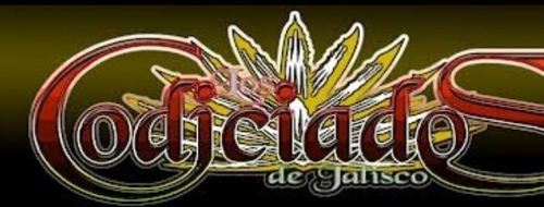 Pagina de twitter official del Grupo Los codiciados de Jalisco.
