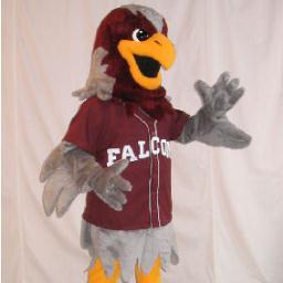 mention us for a rt! #falconpride #fsstips