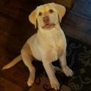 ginger albert - @nurseblondy432 - Twitter