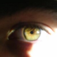 Alejandro Ruiz (@_alejandrorg_) 's Twitter Profile