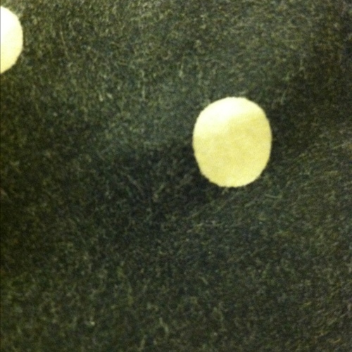 lexyyyyy1's profile picture. xx