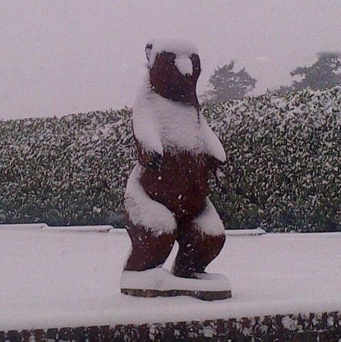 LukasPapabear's profile picture. 