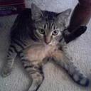 Doug Jaeger - @dljdoug1965 - Twitter