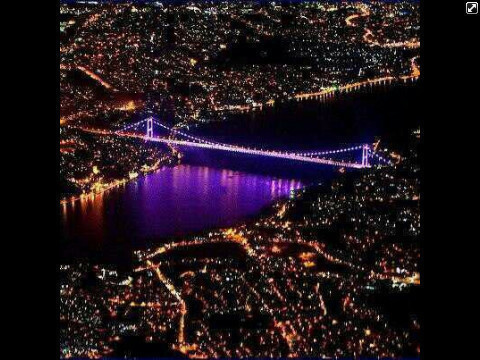 Shosho9108's profile picture. 