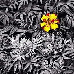 follow me back... 
إعلانات تجارية وشخصية | أخبار التخفيضات والعروض 
للإعلانات المدفوعة للشركات مراسلتنا على الإيميل Advertising_12@hotmail.com