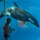 Savannah Atkinson  - @SavannahAtkin11 - Twitter