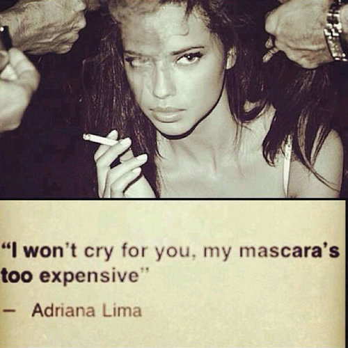 ierepier33's profile picture. 