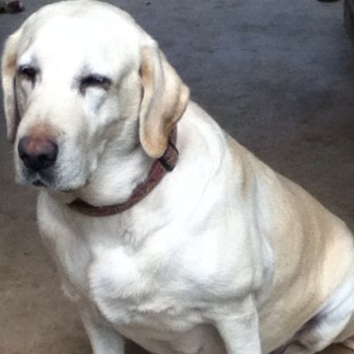 eeh2003's profile picture. 