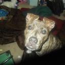 Denise Qualls - @DeniseQualls426 - Twitter