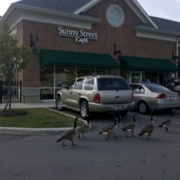 SunnyStWest's profile picture. Delicious breakfast and lunch in Westerville, open 6:30am-2:30pm every day. Full service catering and patio dining available.