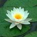 jolevesque (@lily_loo23) Twitter profile photo