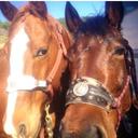 alyssa langer - @calibarrelracer - Twitter